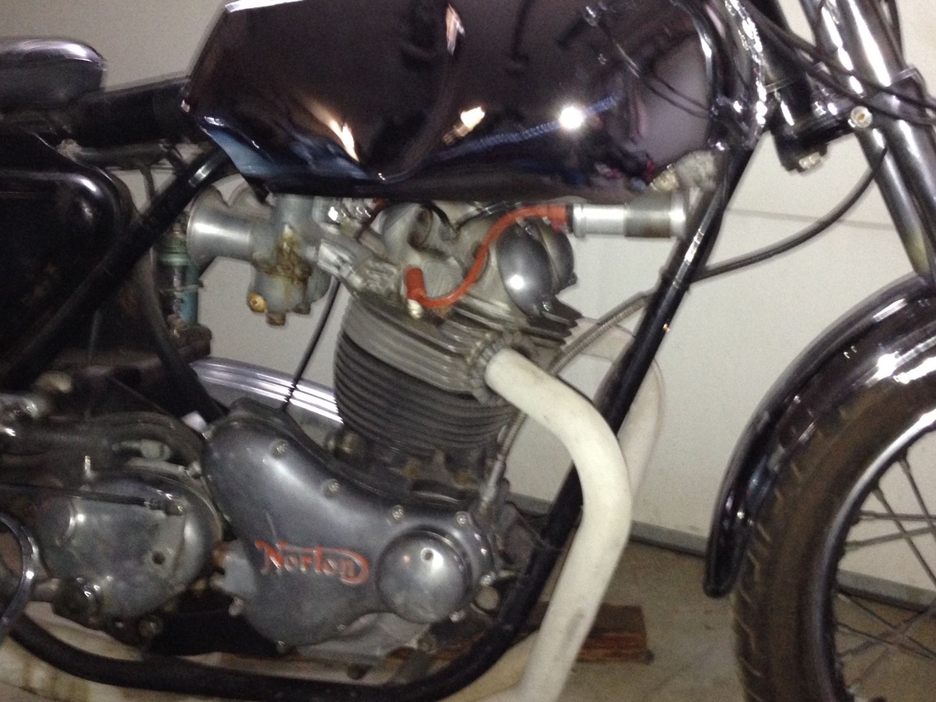 Norton