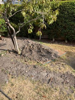 Clean fill dirt