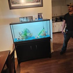 60 Gallon Aquarium with extras 