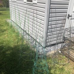 Tomato Cages