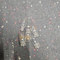 501 BULB OEM