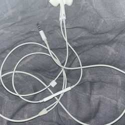 Apple Headphones 