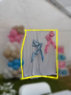 Baby Gender Reveal Party Stuffs (Backdrop and more)