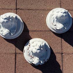 Lionhead Wall Plaques