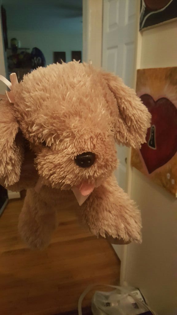 Doggy purse