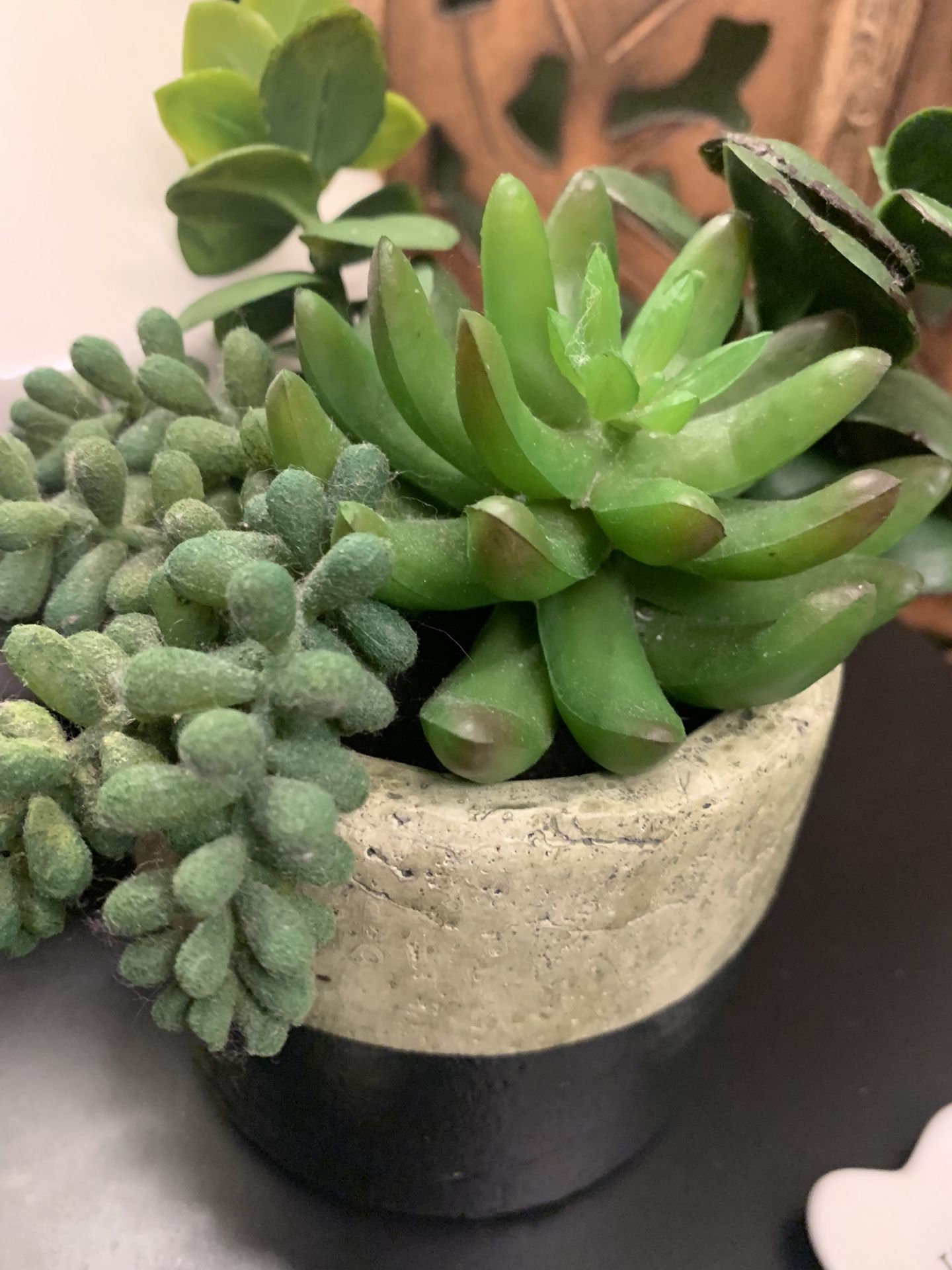 Fake succulent plant H6.5 W4
