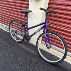 Road Master Bike MT FURY $45