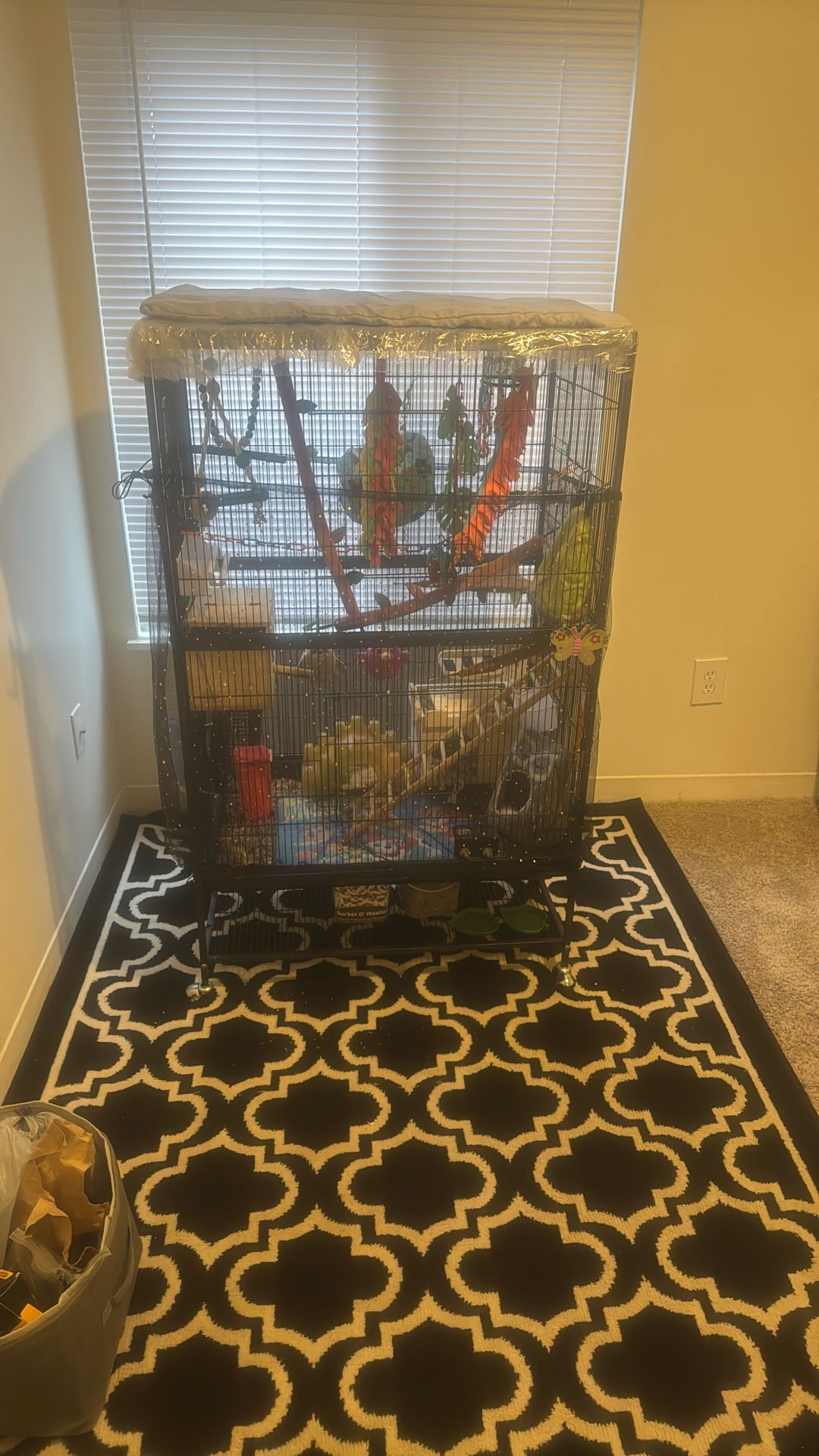Big Cage