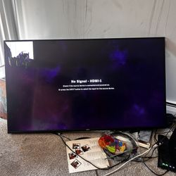 65 Inch Vizio Broken TV
