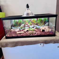 Reptile Tank 20 Gallon 