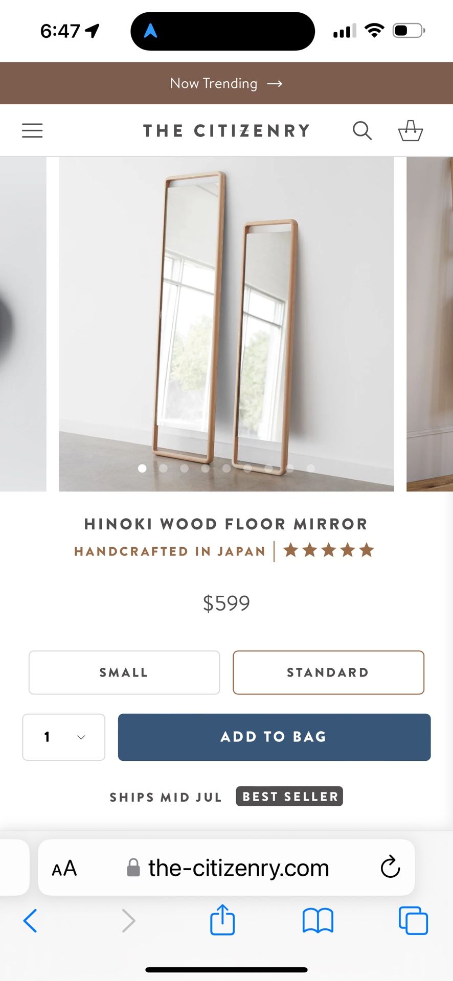 The Citizenry Hinoki Tall Floor Wardrobe leaning mirror