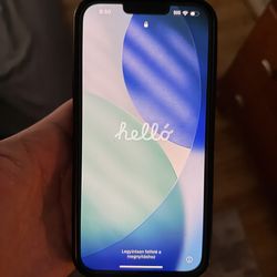 iPhone 13 PRO MAX 256 GB