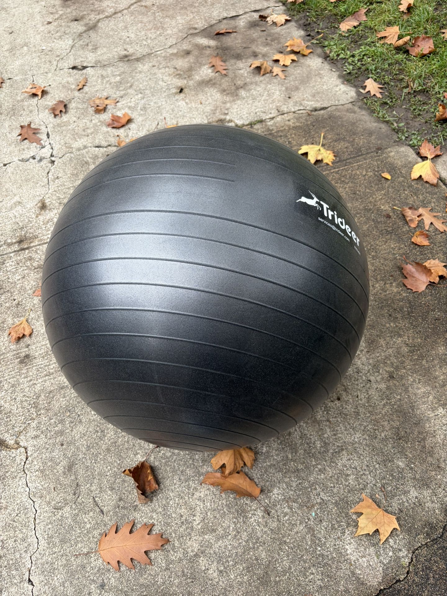 Exercise Ball