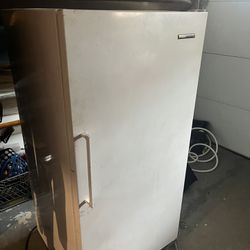 Standup Freezer 