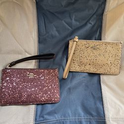 Coach And Michael Kors Bags 