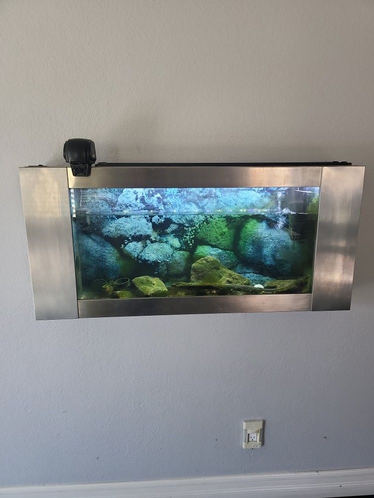 Wallmount Fish Tank