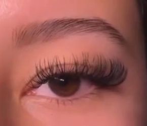 Lashes