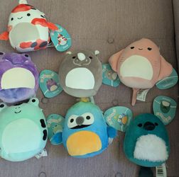 Squishmallows lot