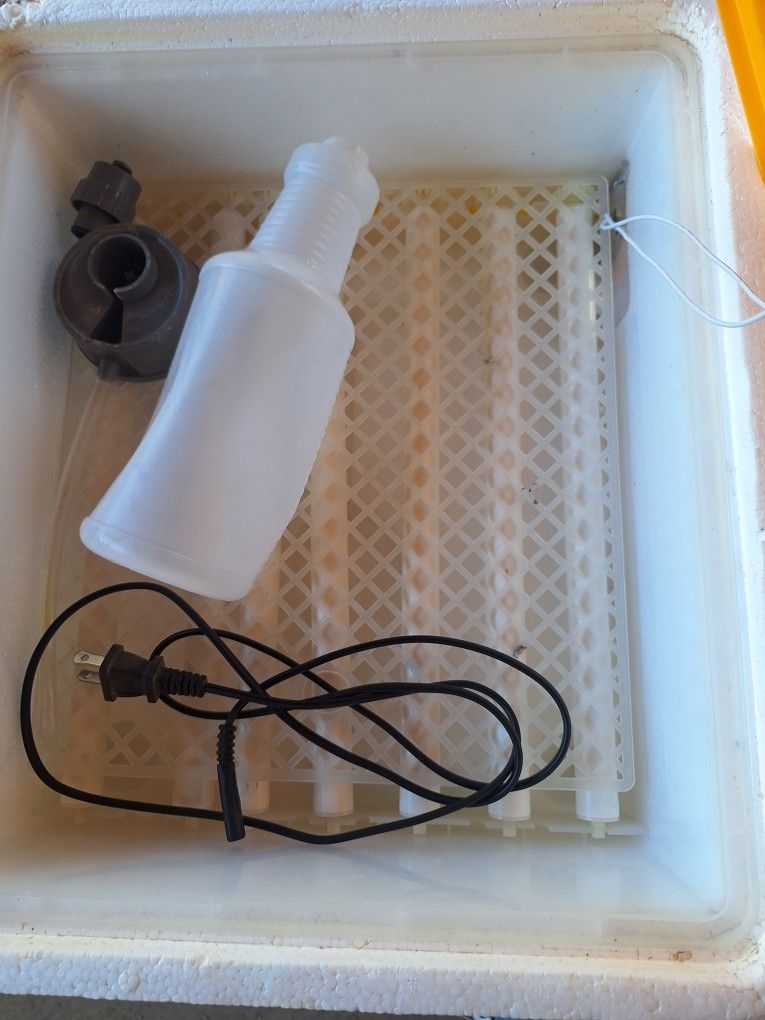 Incubators for Ducks Quail