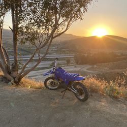 1999 Yamaha pw80 2 stroke