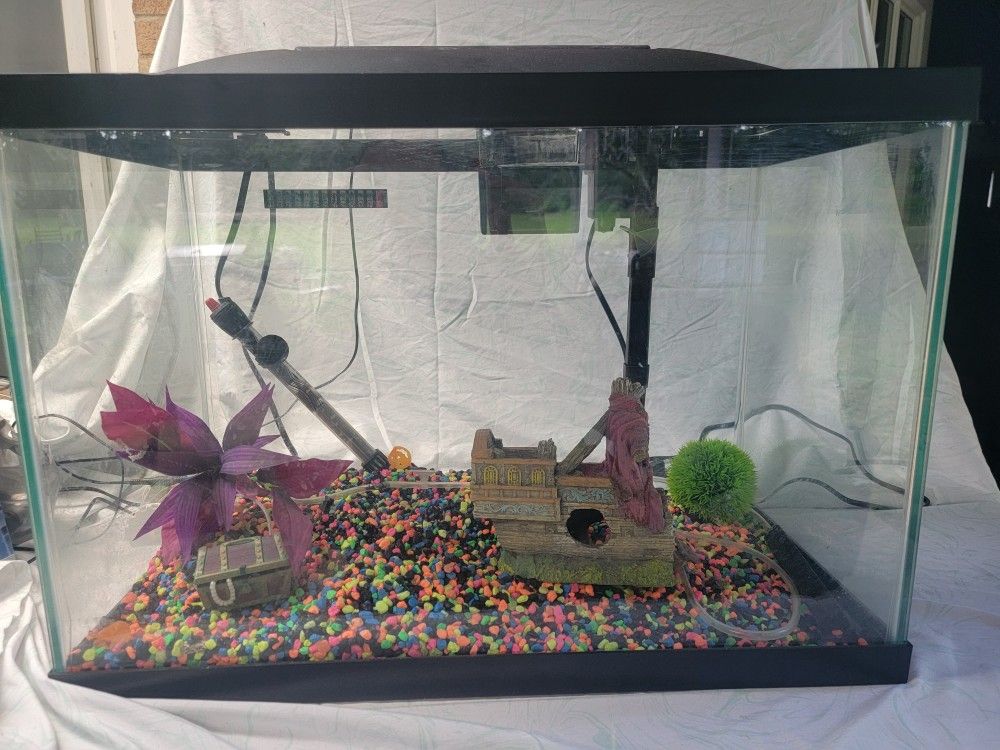 30 Gallon Fishtank