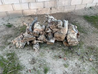 Wood