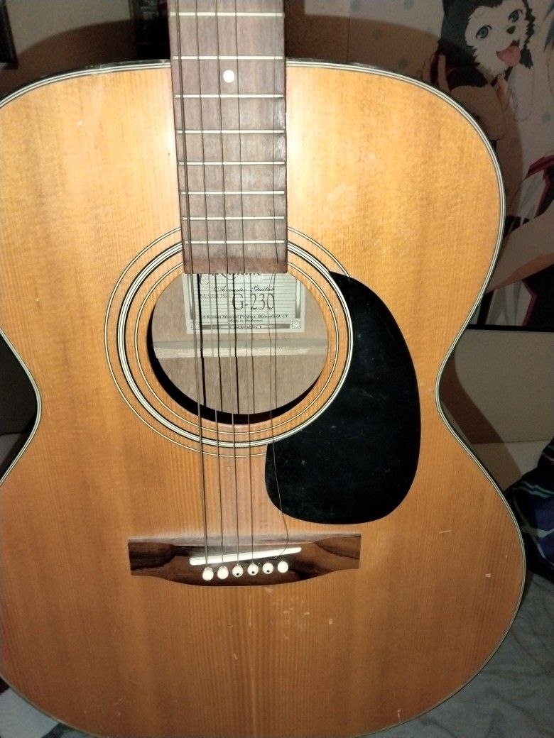 Takamine Gseries Acoustic Guitar 