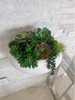 Modern succulent arrangement for any space