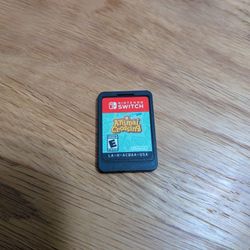 Animal Crossing New Horizons 