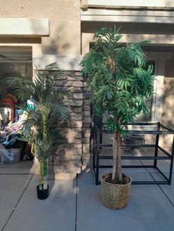 2 Artificial Trees 5ft Palm $20 or 7ft Tree $30