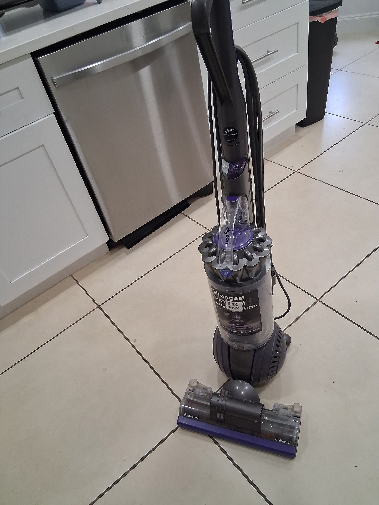 Dyson Ball Animal 2