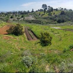 Farm Loan/Seeking Investor For Farm Land
