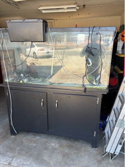Fish tank