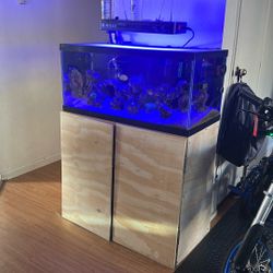 Saltwater Reef Aquarium  For Sale
