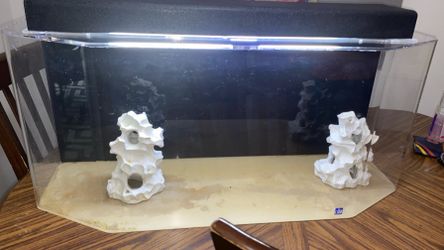 Sea Clear hex tank