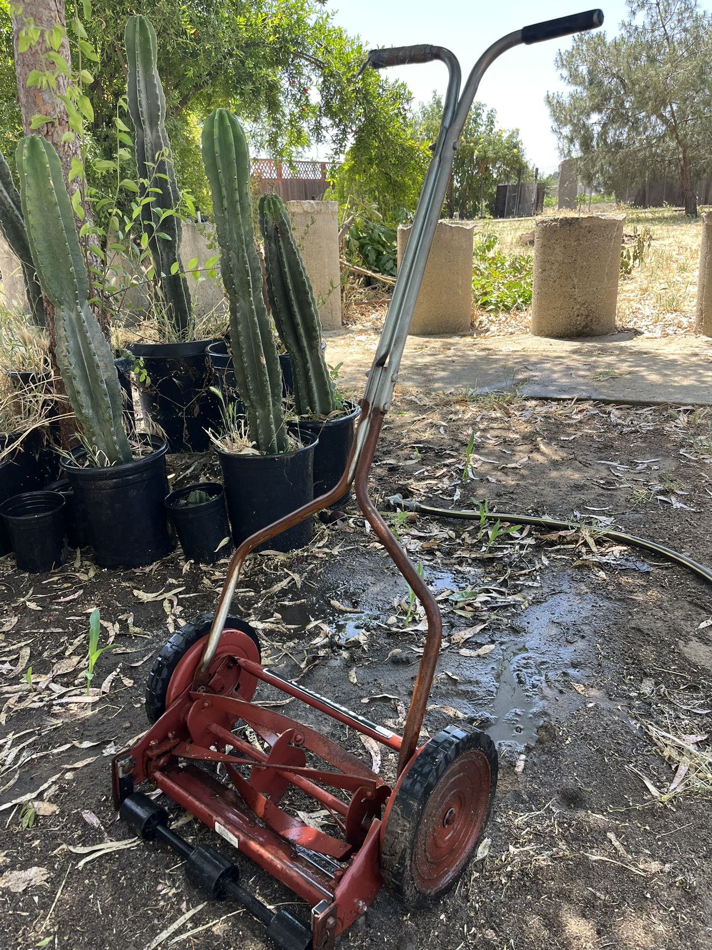 Lawn Mower Or Yard Decor