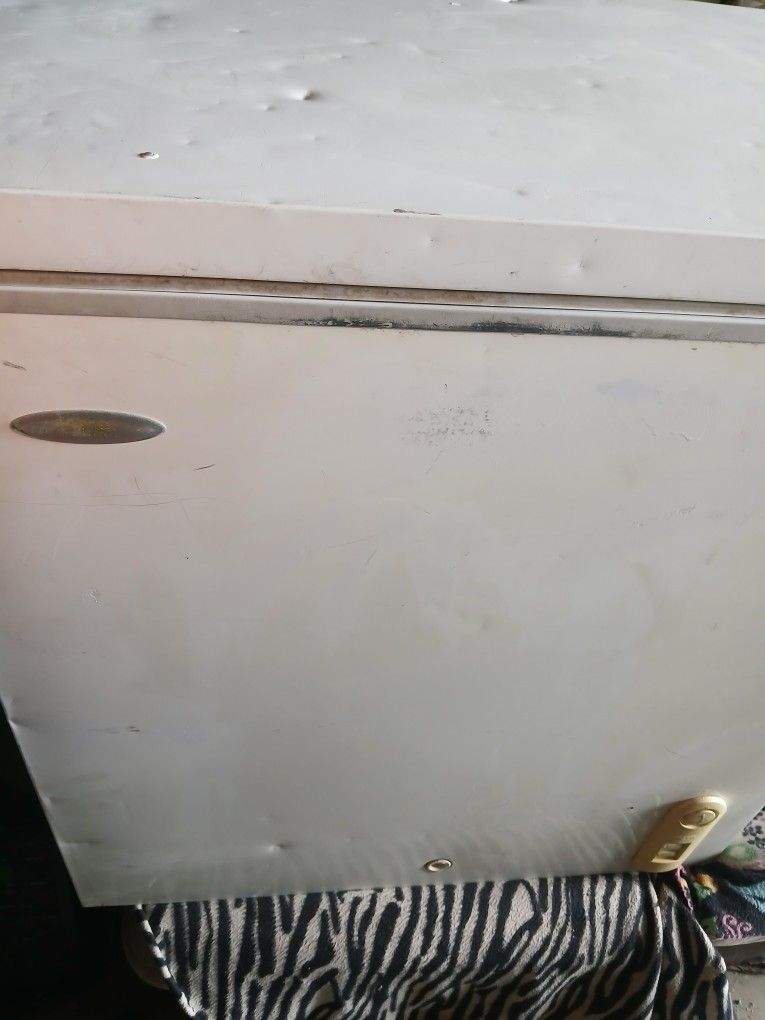 Bottom Freezer