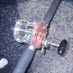 Penn113h Special 4/0 Senator 