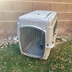 Big Dog Cage 
