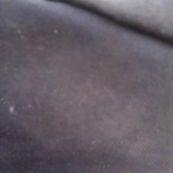 Grow Lights 1000 Watts 9 Lights With Ballast 75$ Each