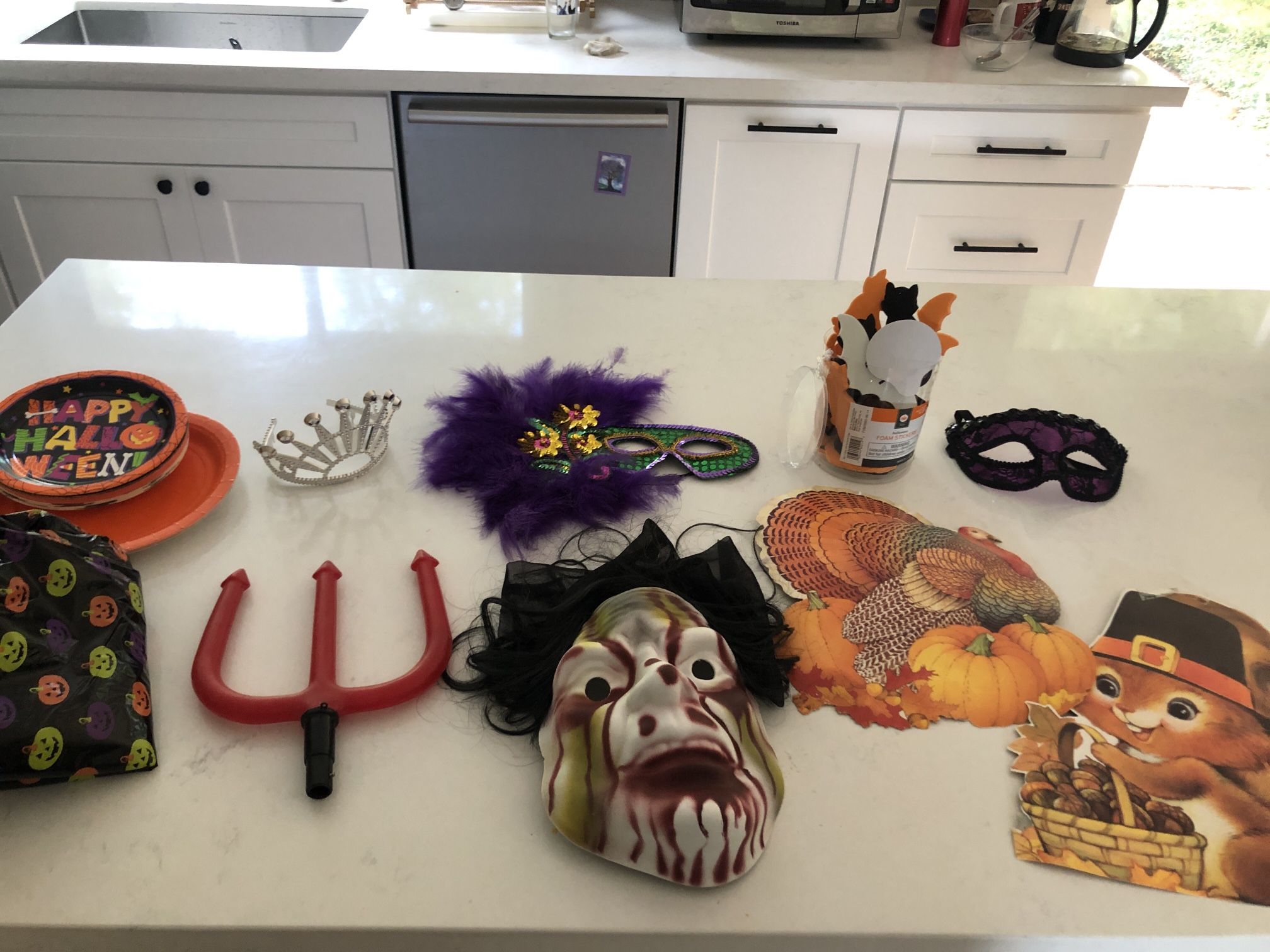 Halloween Party Decorations/ Costumes 