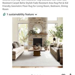 Neutral Area Rug