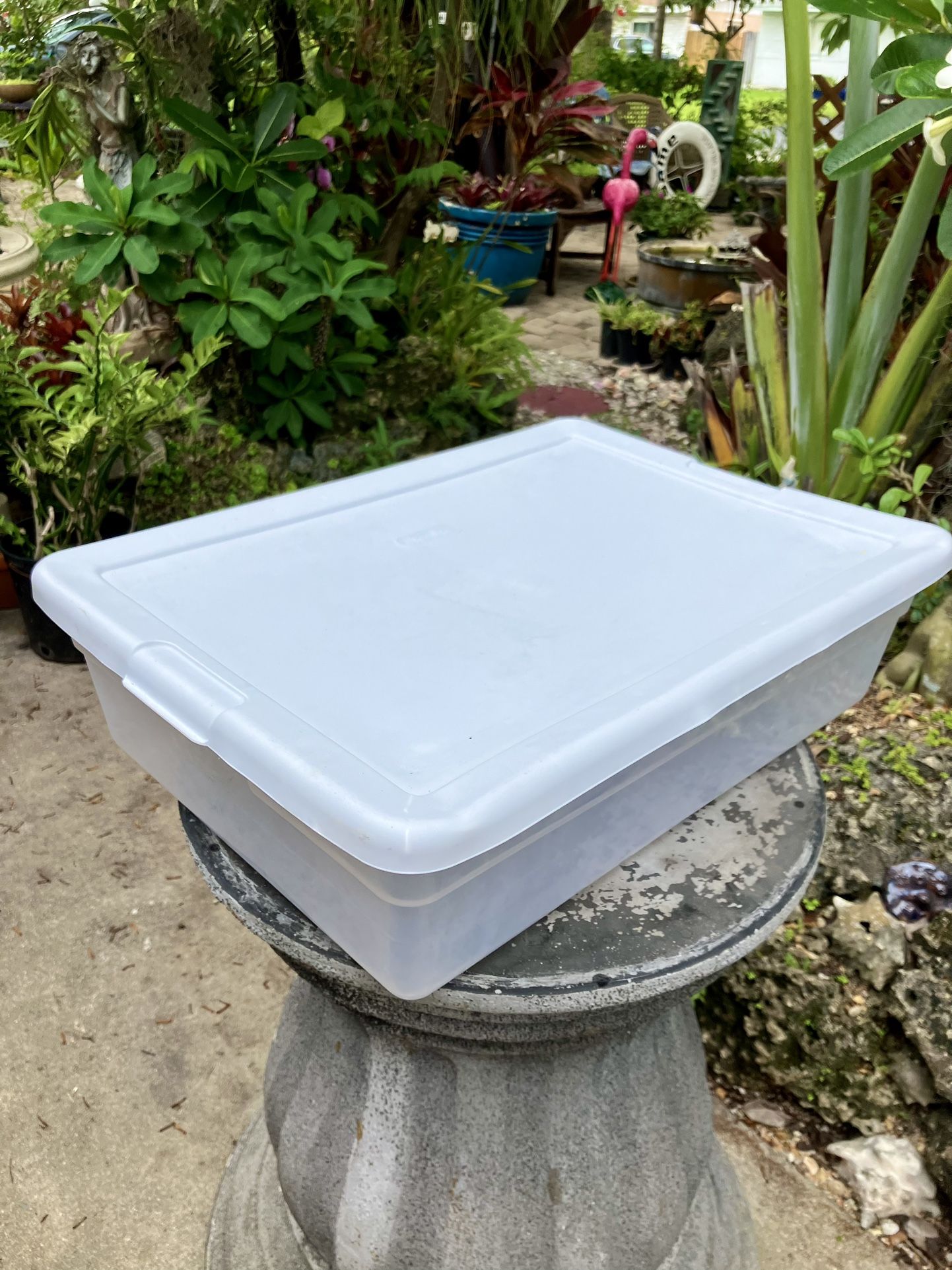 Sterilite Clear Storage Container with Lid, 28 Quart- $3 each