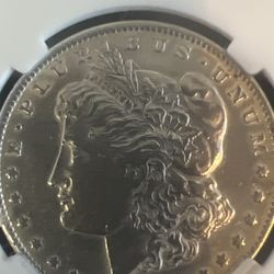 1878 Morgan Silver Dollar — 7 Tail Feathers (Reverse of 1879)