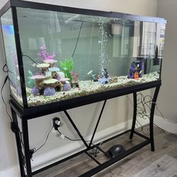 Fish Tank With All Accessories And WaterHose replacement