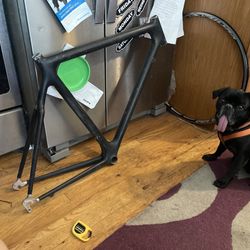 Trek OCLV Carbon Road Frame 55cm