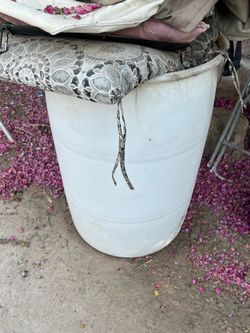 White large tub container box storage