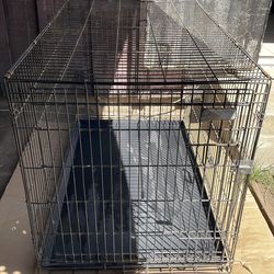 X-Large Dog kennel