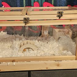 Hamster cage with accessories