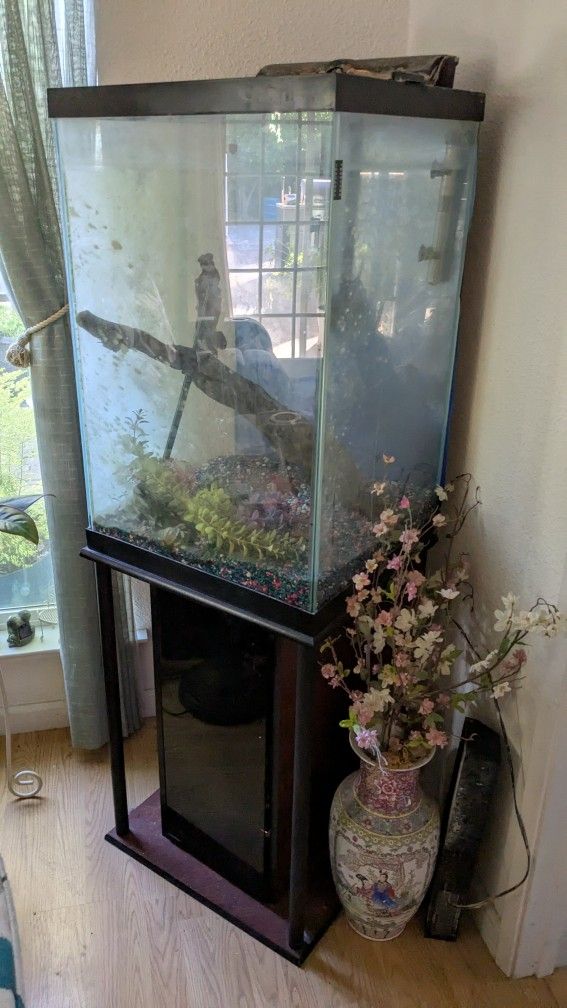 Free 47 gallon Fish Tank